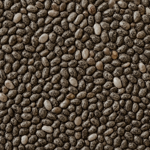 9107a072-f7f7-47e3-ac32-8470f0b3a0a1.png