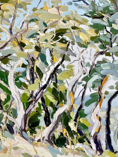 'In serach for the scent of the summers dry foliage'