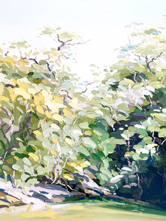 Winters Sunshine SOLD