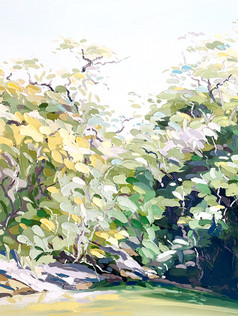 Winters Sunshine SOLD
