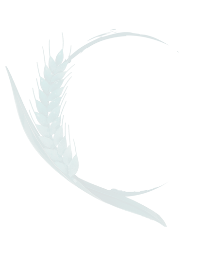 Untitled design (9)_edited.png