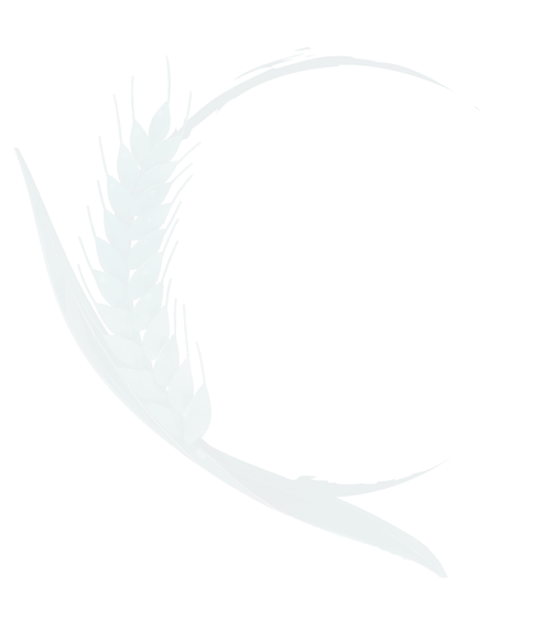 Untitled design (9)_edited.png