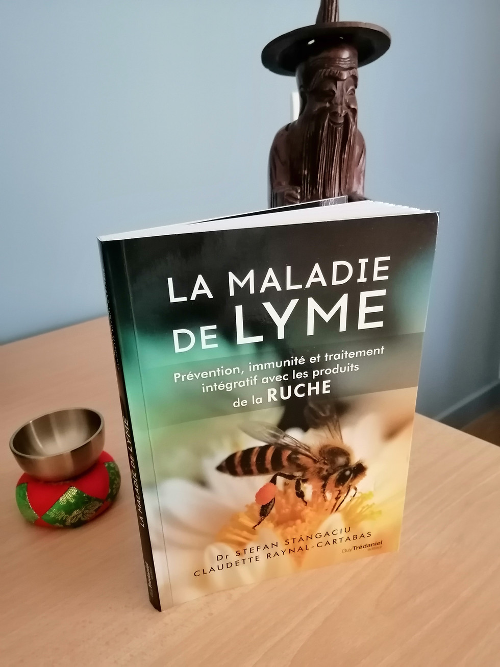 Miniature : LA MALADIE DE LYME