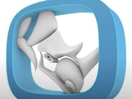 Rhino.Inside.Revit
