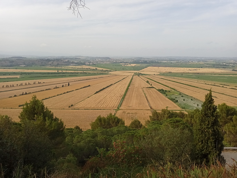 Etang de Montardy