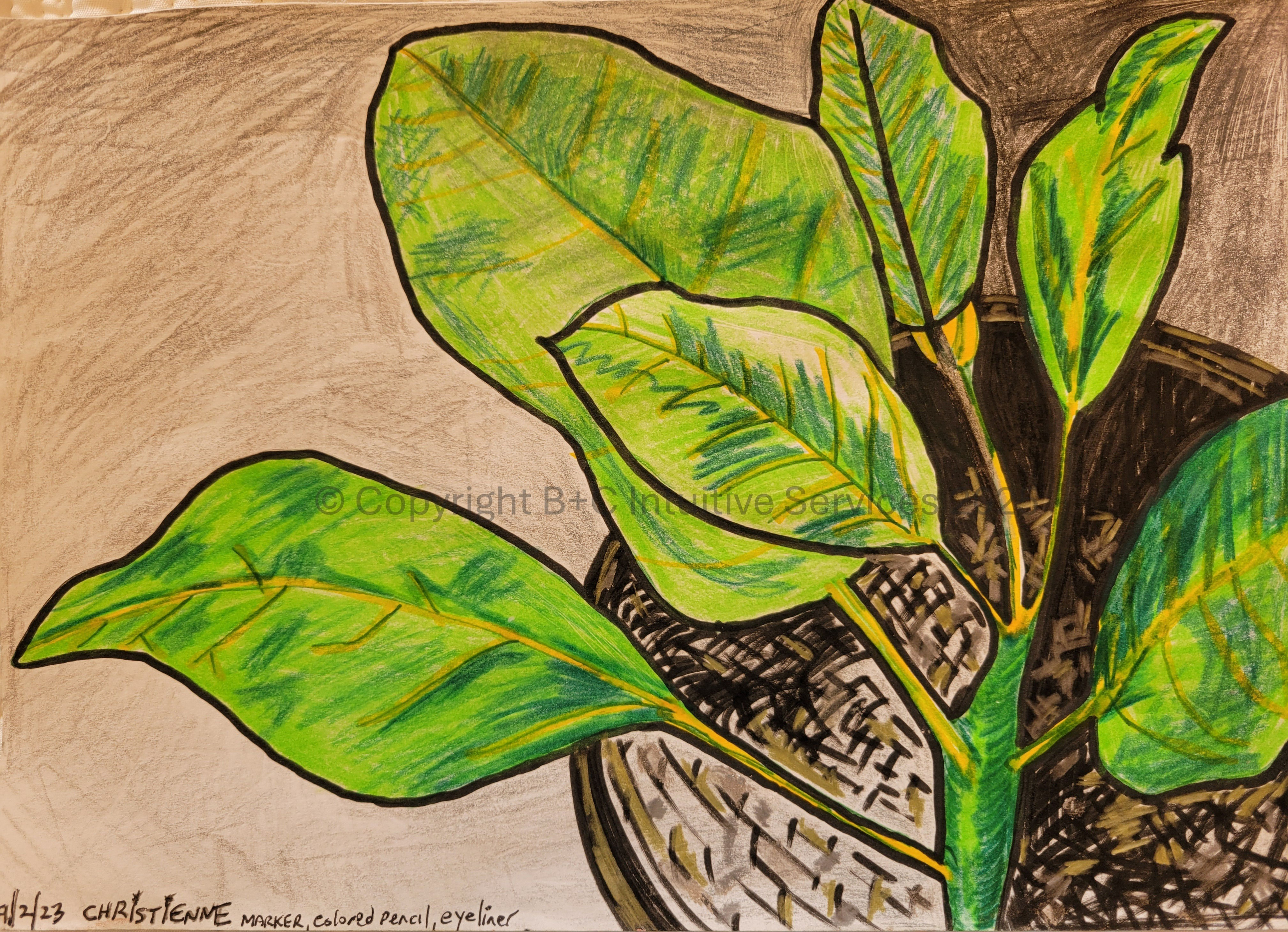 Dumb Rich - ORIGINAL