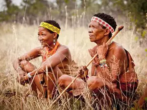 Whispers on Stone | Walking Among the Ancients of the Waterberg