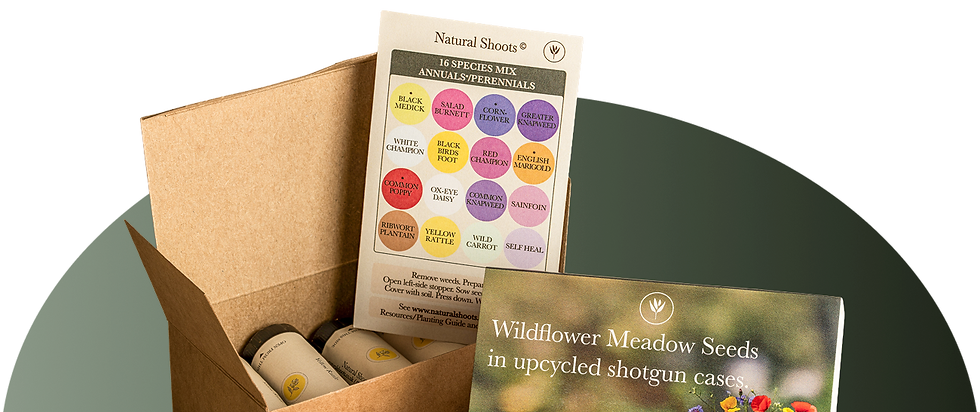 Insert card and gift box with five cases filled with seeds