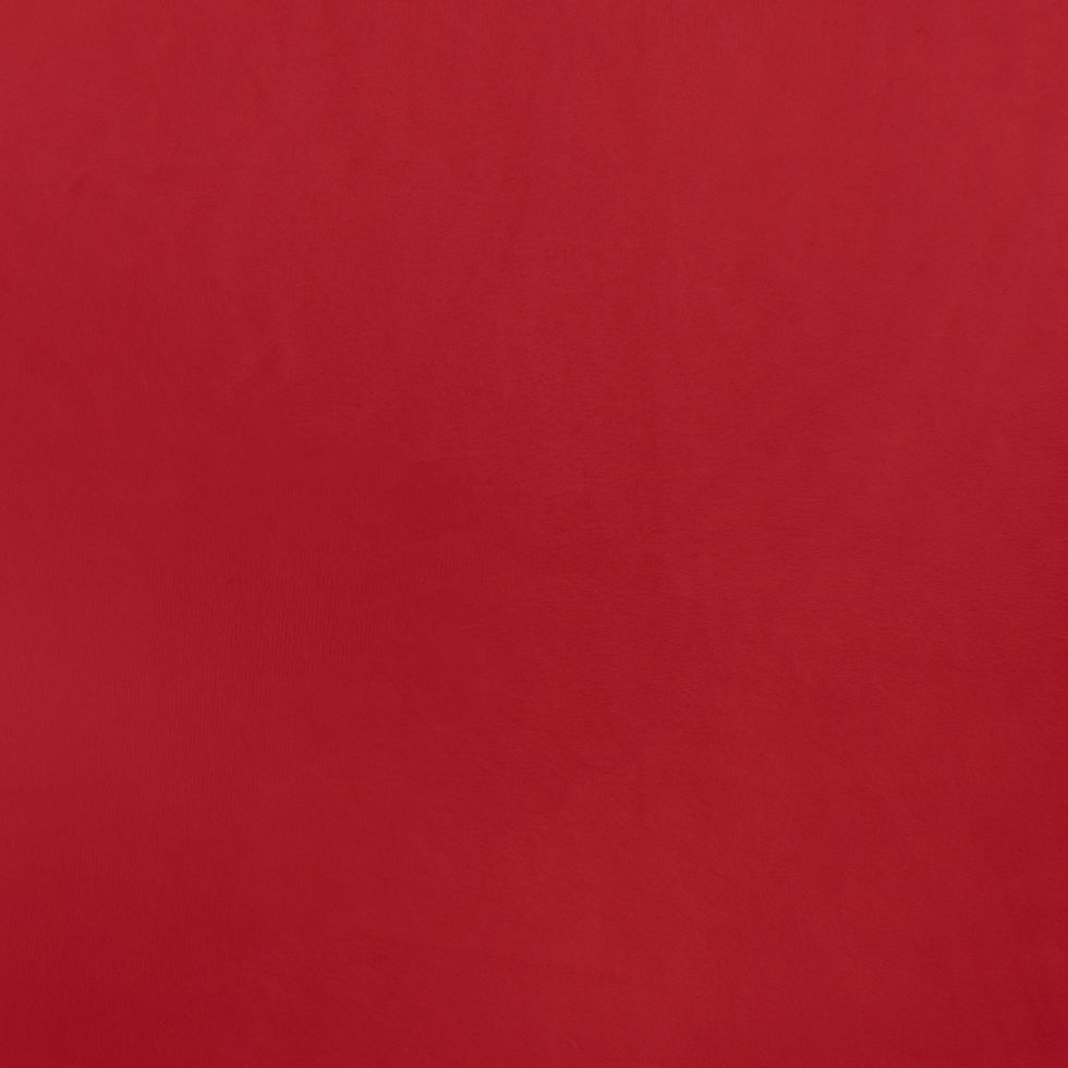 Scarlet red Silky Minky by EZ Fabric with a smooth plush 3 mm pile, 90-inch nominal width.