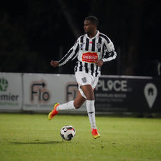 NPL Round 15 Preview: Adelaide City v MetroStars