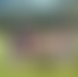 Strong weekend for City with Cup progress and big wins