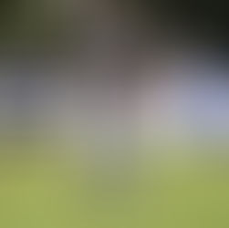 NPL Round 11 Preview: Adelaide City vs FK Beograd