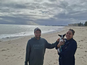 What Person-Centred Support Really Looks Like