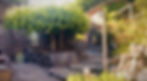 thumbnail_IMG_1556_edited.jpg