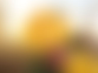 La récolte du coeur