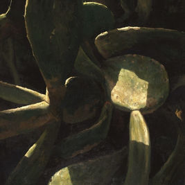 cactus 92.5 - 102.5.jpg