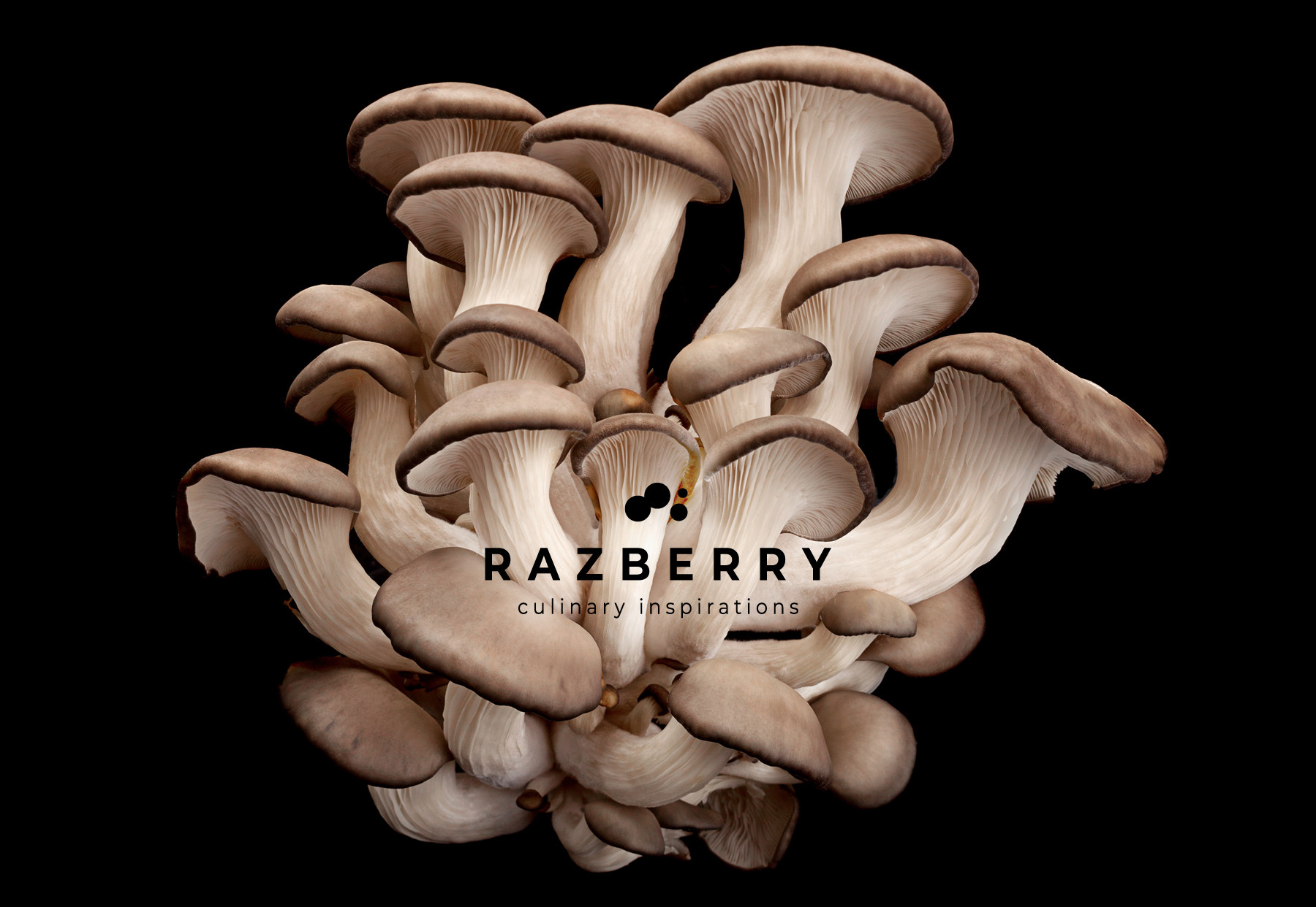 Razberry | קונדיטוריה | חומרי גלם