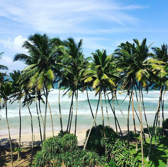 WhatsApp Image 2025-09-08 at 14.29.32 (1).jpeg