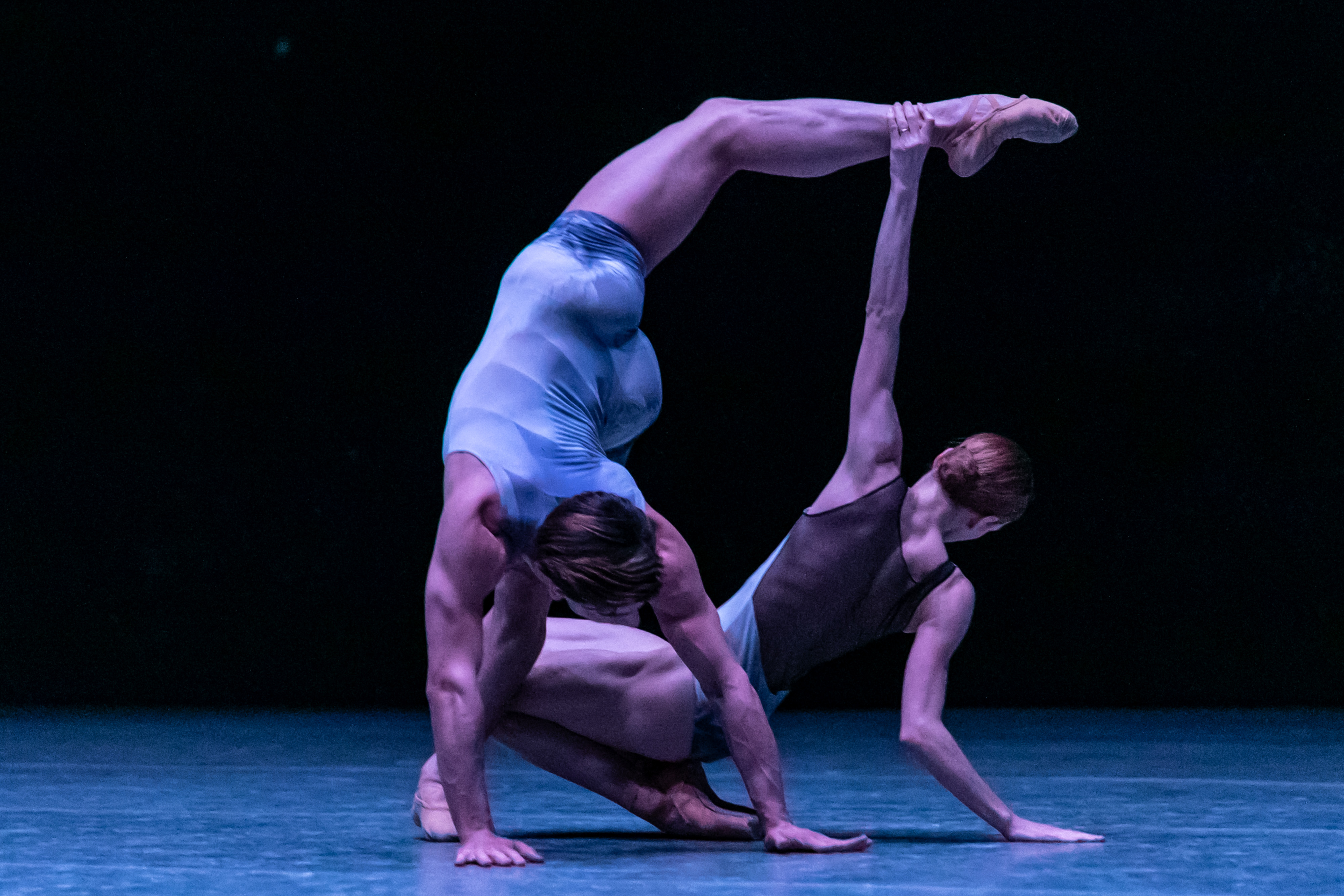 Ksenia Ovsyanick, Staatsballett