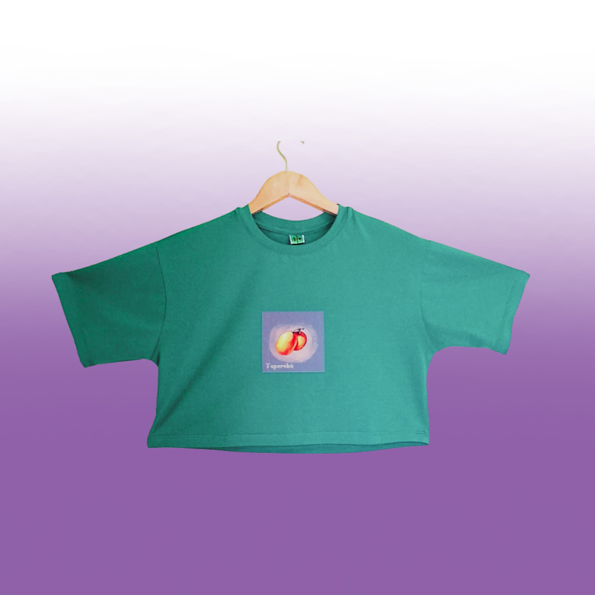 Camisa básica/Fruta do inverno