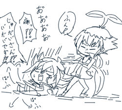 くらげ農場襲来