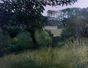 MCILROYS ROAD, RED HILL SOUTH.jpeg