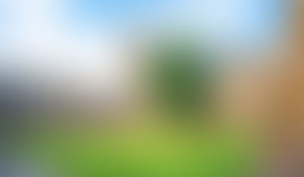 What Are STEM Courses: A Full Guide for International Students