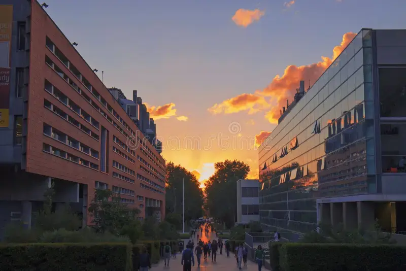 universities in australia