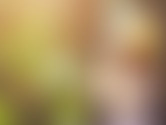 Jak vhodným způsobem podporovat své děti?