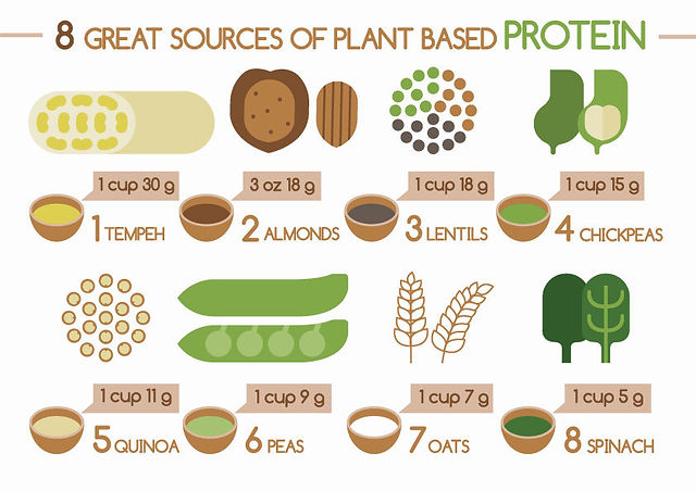 ss_plant proteins