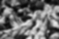IMG_8315.jpeg