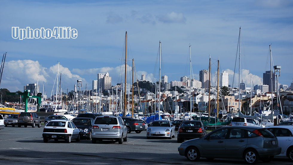 SF- Marina