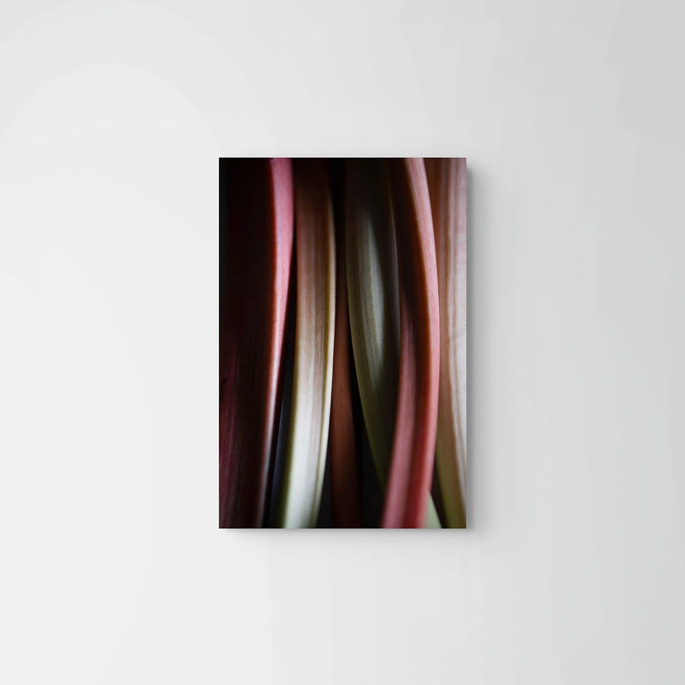 Thumbnail: From the Garden