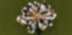 DJI_20240515173158_0190_D_edited.jpg