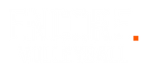 Encore Volleyball logo
