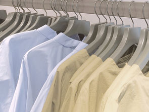 The Petite Guide to Perfect T-Shirt Style