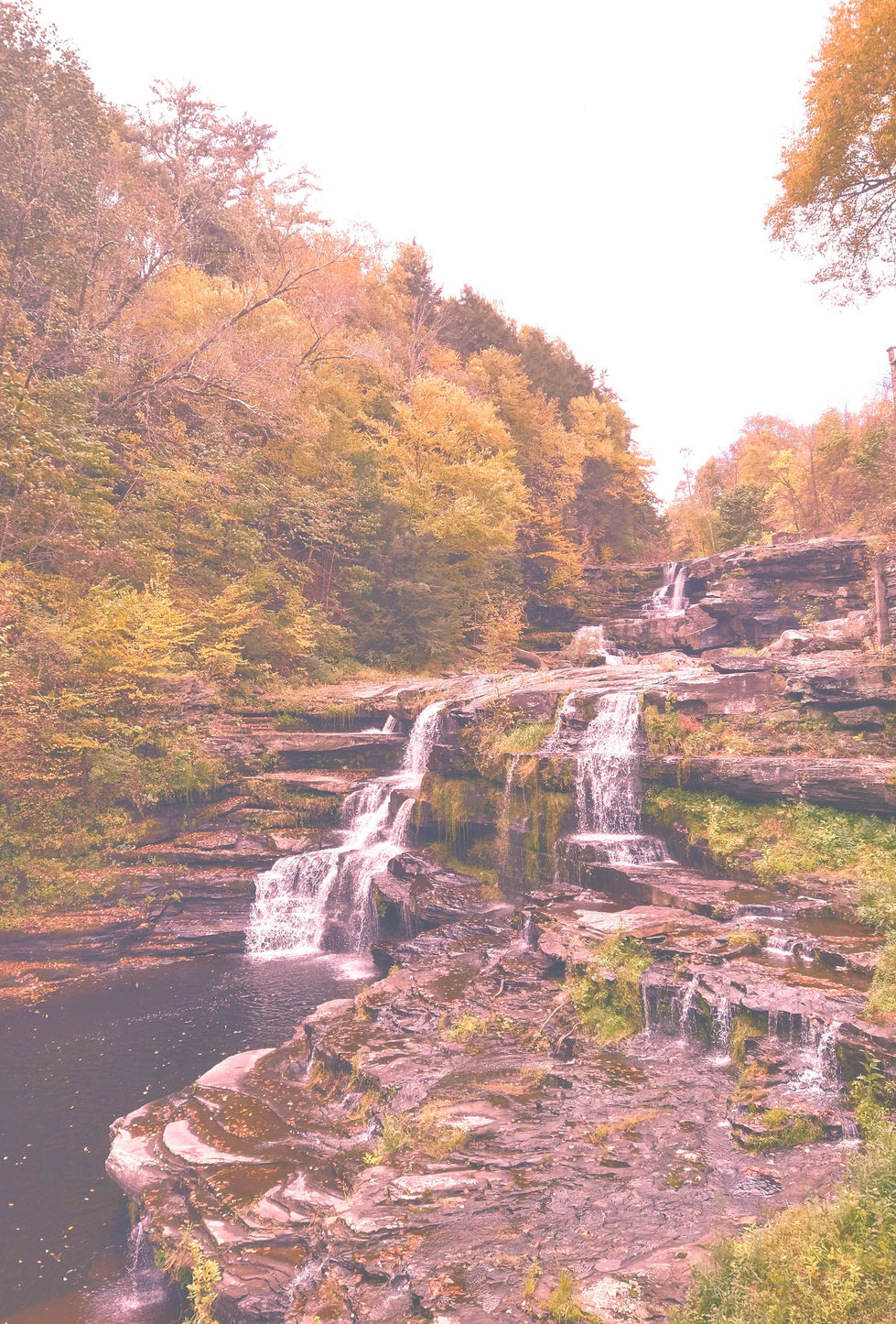 Nature in a purple hue