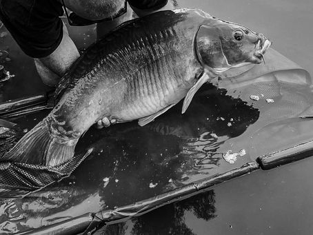 A few great weeks at Lac Solace.