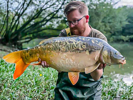 It's been another very good few weeks for king captures!
