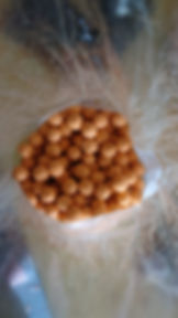 Thumbnail: Tangy Squid and Octopus 14mm Pop Ups