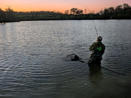 The Power of Pro Liver GLM