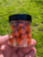 Thumbnail: Tangy Squid and Octopus 14mm Pop Ups