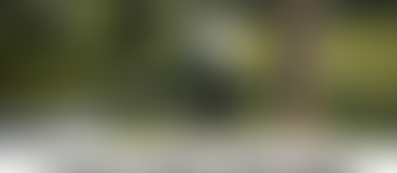 3 Summer weeks available!