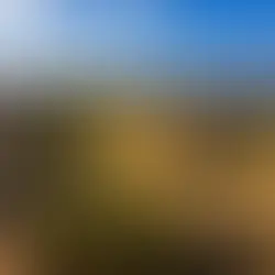 Guía completa de Monte Albán: historia, cómo llegar, horarios, precios y qué ver