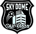 LOGO SKYDOME.png