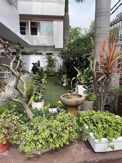 WhatsApp Image 2024-06-17 at 4.10.35 PM (3).jpeg