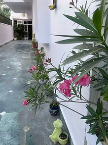 WhatsApp Image 2024-06-17 at 4.20.46 PM (2).jpeg