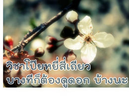 วิชา โป๊ยหยี่สี่เถียว บางครั้งก็ต้องดูดอก บ้างนะ