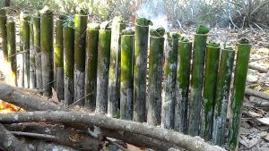 เป้าจู๋-ข้าวหลาม