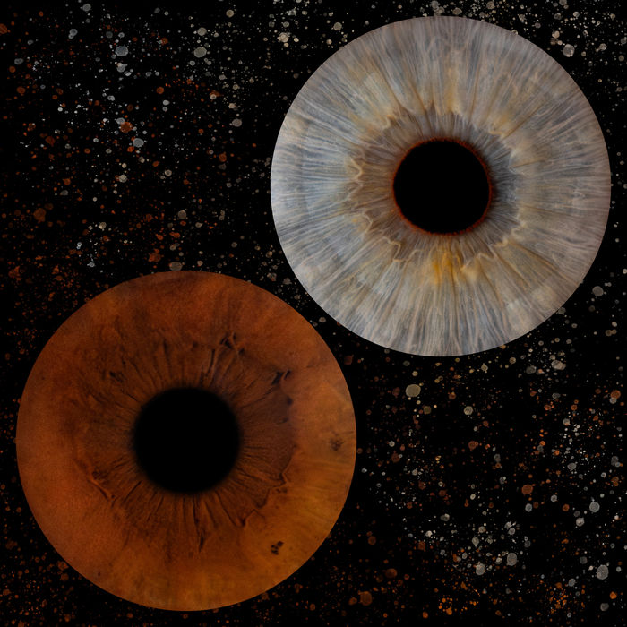 Pärchen Iris Bild